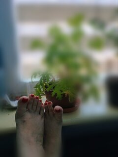 1000018997.jpg