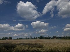 IMG_4741.jpeg