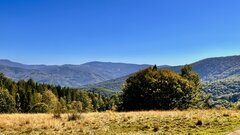 IMG_2187.jpeg