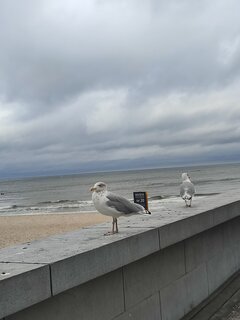IMG_20250918_121104.jpg