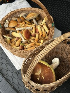 IMG_9187.jpeg
