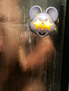 IMG_2849.jpeg