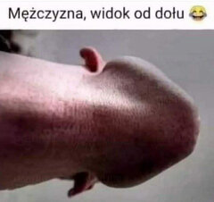 1000015064.jpg
