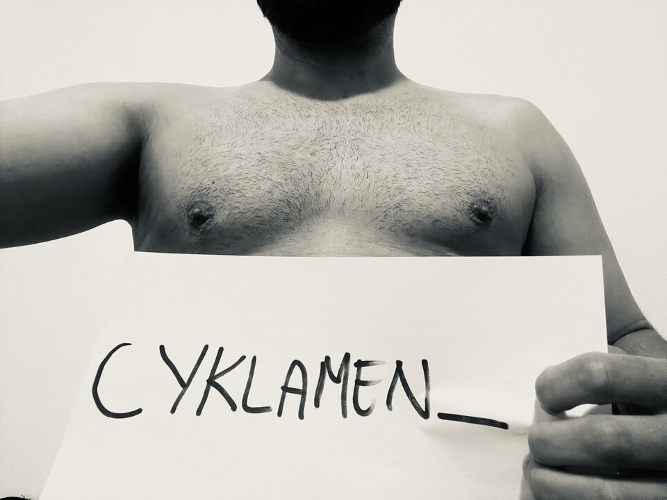 IMG_4353.jpeg - cyklamen_