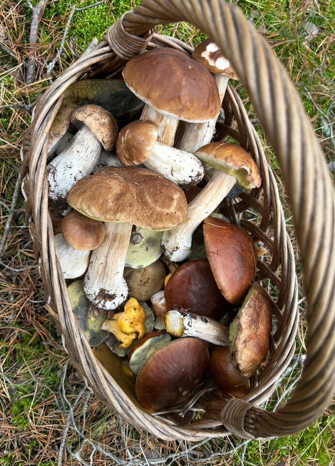IMG_9235.jpeg - NaturystaXXX