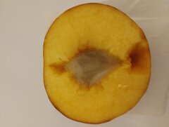 IMG_20250923_203902690.jpg