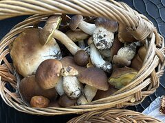 IMG_9261.jpeg
