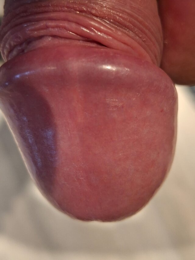 FRANCUZ693