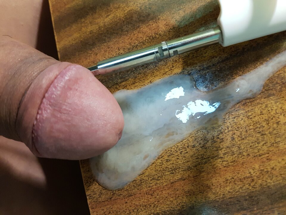 20190808_030459.jpg - Whitelittlecock