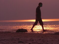 IMG_4554.jpeg