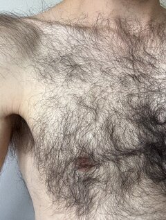 IMG_8185.jpeg