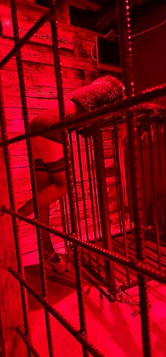 20250926_033248.jpg