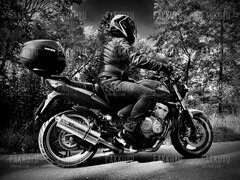 IMG_1203.jpeg
