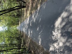 IMG_6178.jpeg