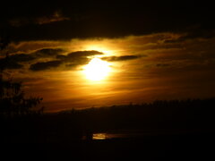 P1050144.JPG