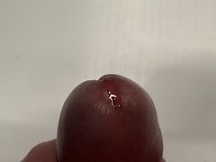 IMG_0968.jpeg