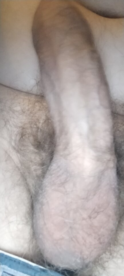 1000003170.jpg - XMiko77