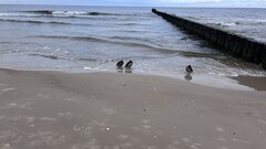 IMG_7480.jpeg