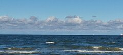 IMG_20250929_152035.jpg