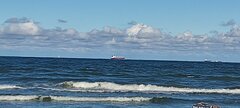 IMG_20250929_152032.jpg