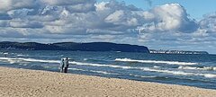 IMG_20250929_152029.jpg