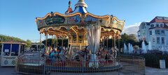 IMG_20250929_164215.jpg