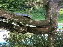 IMG_6066.jpeg
