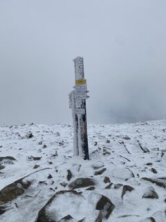 IMG_1285.jpeg
