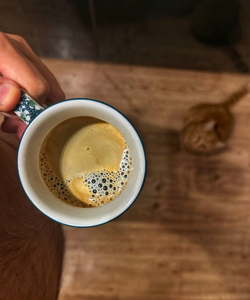 🐱 ☕️ - serialowapara19782