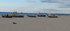 IMG_20251003_164030.jpg