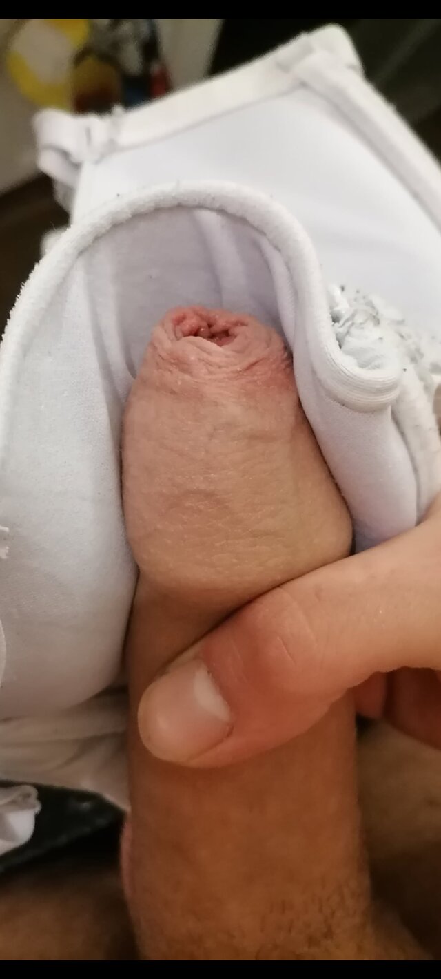 PornoFan91