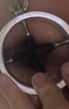IMG_0982.jpeg