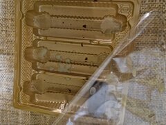 20251005_210221.jpg