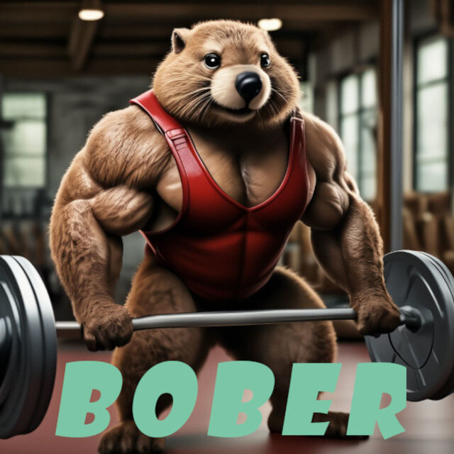 _Bober_
