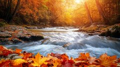 autumn-river-beauty-stockcake.jpg