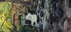 IMG_20251007_152858.jpg