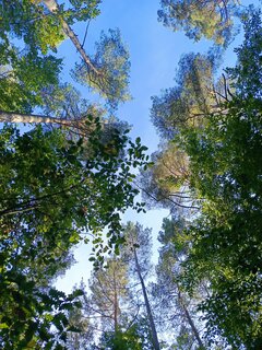 IMG_20251007_154936_955.jpg