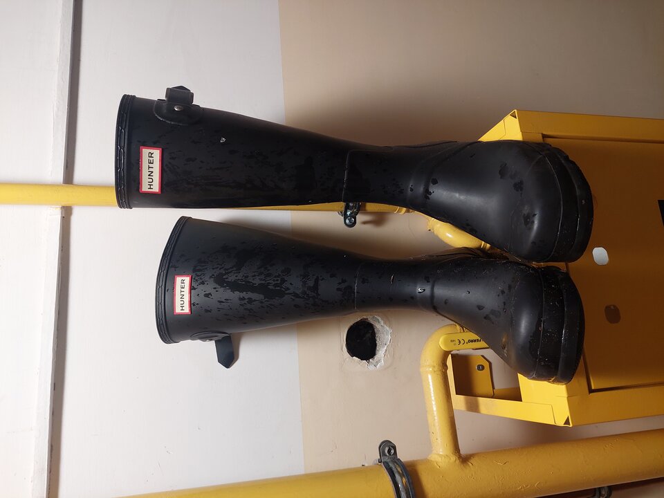 20251007_210229.jpg - Rubber_gloves