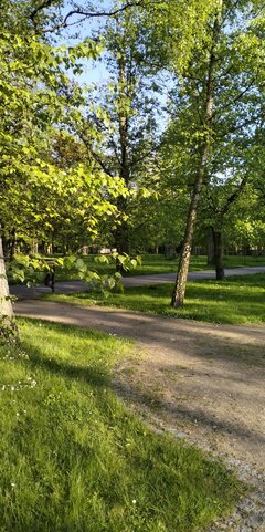 92ca81c5-d12e-4fbb-be67-a38ab80e0480photo.jpeg