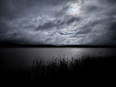 IMG_3510.jpeg