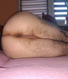 306.jpg