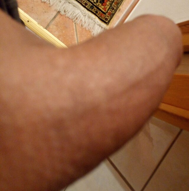 19dobralanca