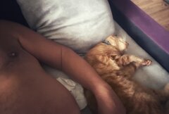 🐈 👸