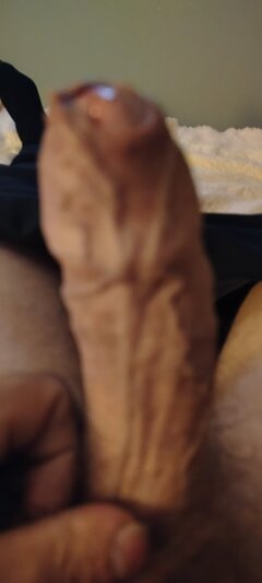 1000003252.jpg