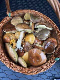 IMG_9541.jpeg