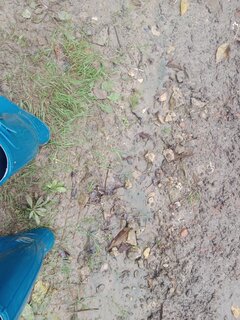 IMG_20251012_151602.jpg