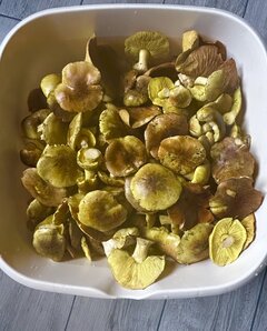 IMG_9555.jpeg