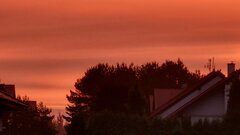 20251008_065837.jpg