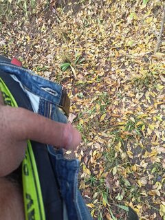 IMG20251016152754.jpg
