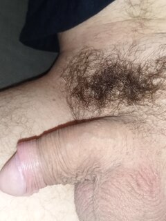 IMG_20251017_060309.jpg